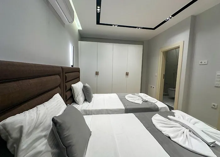 Nokta Vip D